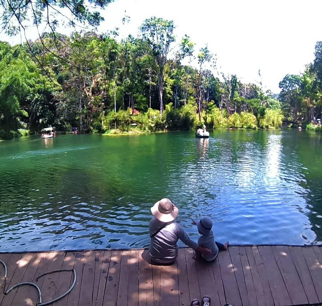 Danau Di Tengah Hutan Bambu Danau Di Tengah Hutan Bambu