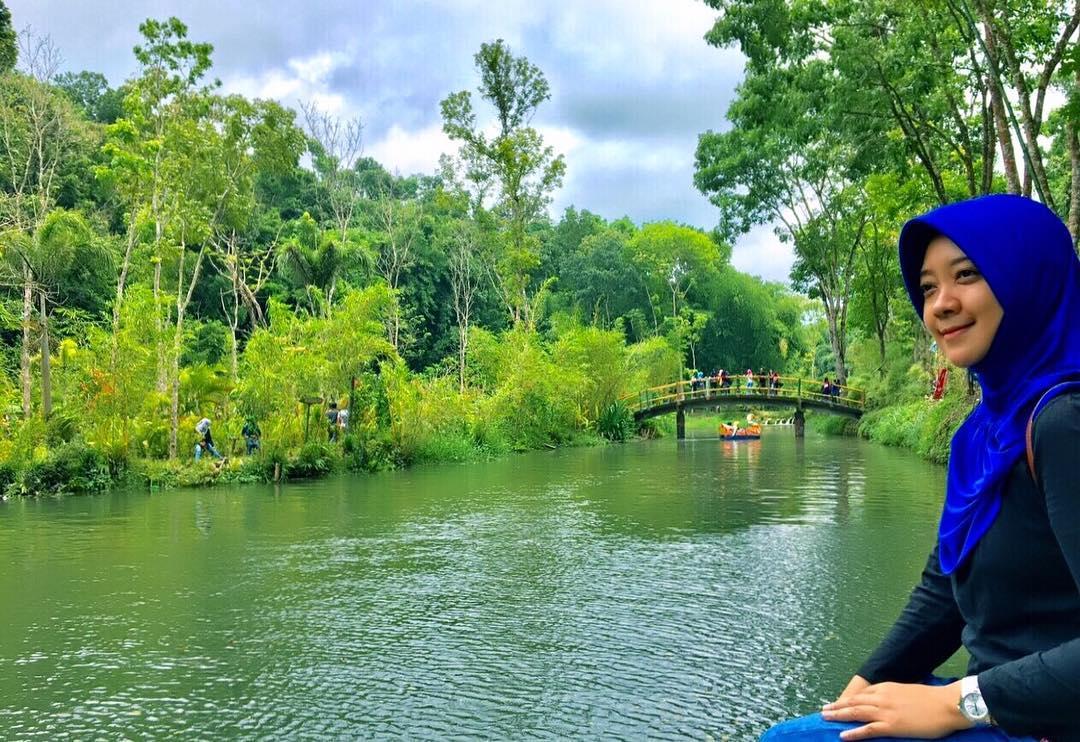 Danau Di Tengah Hutan Bambu Danau Di Tengah Hutan Bambu