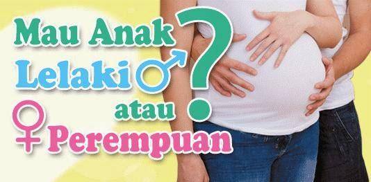 (sehatituharus.com) (sehatituharus.com)